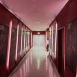 FC Bayern - sommer 2025